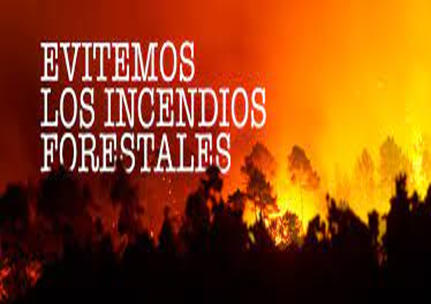 MANEJO DEL FUEGO