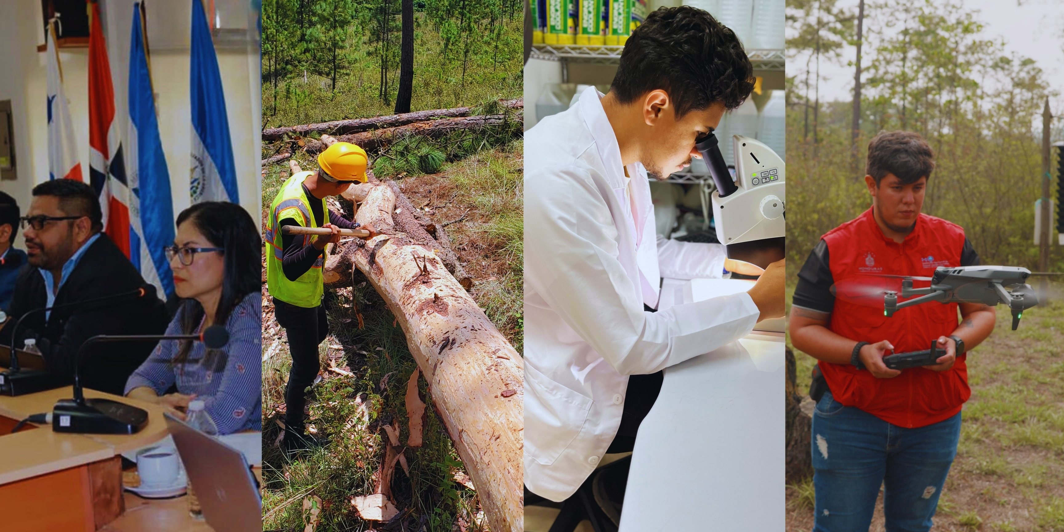 CURSO BÁSICO DE SALUD Y SANIDAD FORESTAL PARA UNIDADES MUNICIPALES AMBIENTALES (UMAs)